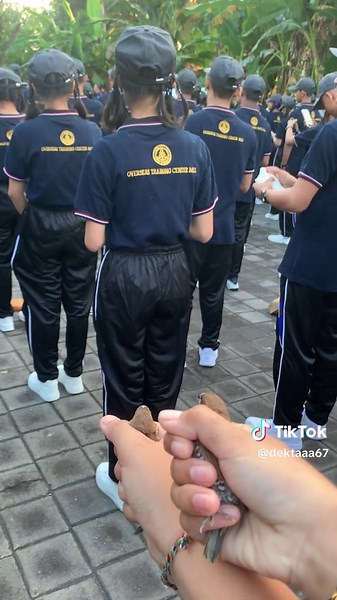 day 1 pdsp #fyp #otcabali #otc #otcsingaraja