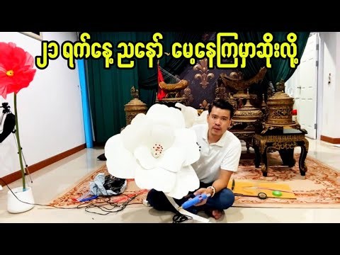 ၂၁နေ့ညနော် မှီသေးတယ် မေ့နေကြမှာဆိုးလို့ပါ