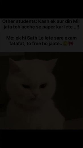 Exam meme 😂