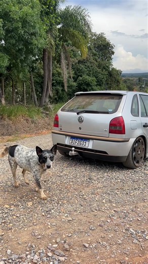 Empina e Que? Explore Gol G3 e Carros Rebaixados