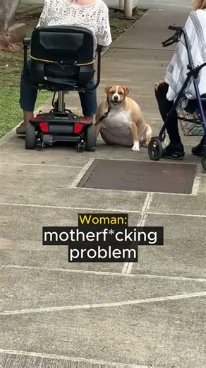 Woman Meets Giant Dog...