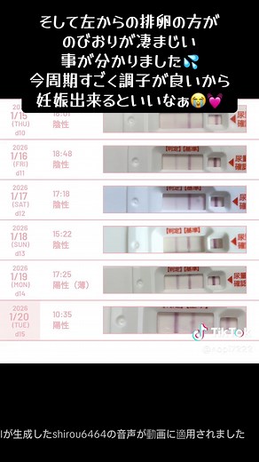 今周期の妊活と排卵の変化