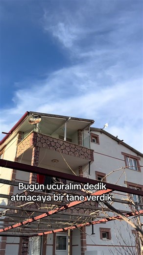 #kesfetbeniöneçıkart #kesfet #oyunkuşu #kesfetteyiz #konyaoyunkuşu