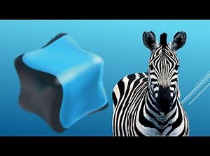 Qubo Episodes Safari Tracks