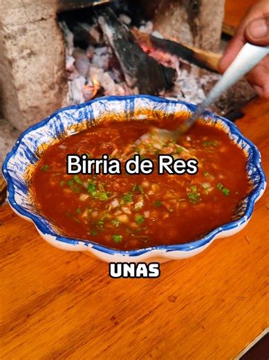 Birria de res receta fácil y sabrosa