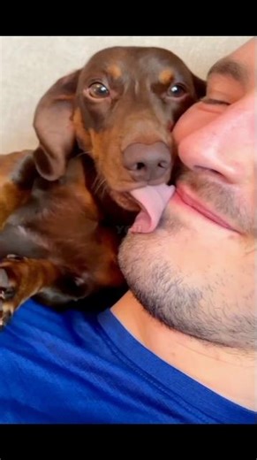 This Dog Only Understands Spanish 😳🐶