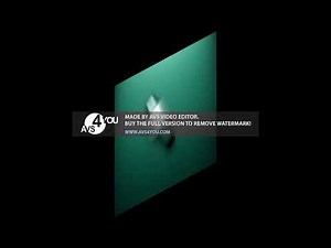 AVS Media Demo Effects 2