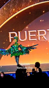 Miss Universe Puerto Rico! | SBCrown