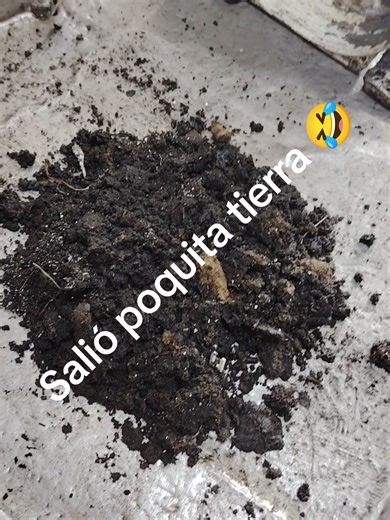 #LIVEIncentiveProgram #LIVEbringFANS #PaidPartnership #Alexys #tecnico