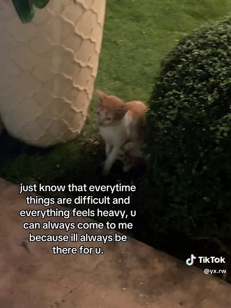 Words Of Encouragement - Heavy Feeling Relief