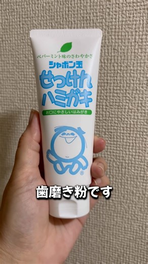 【2026/03/01】今日のミックス犬の散歩と最近使い始めたフッ素不使用の歯磨き粉の紹介 #shorts