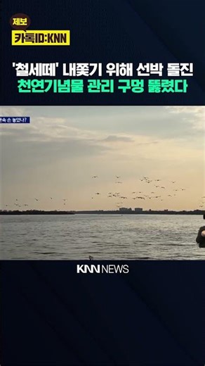천연기념물 철새떼로 선박 돌진..단속 여전히 구멍 / KNN