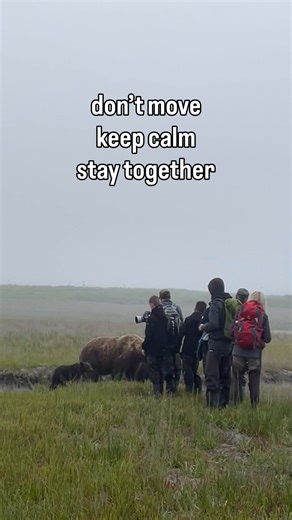 Despite all we’ve been told about how to behave during a bear encounter, it’s important to remember that no two encounters or bears are ever the same. Each approach is so situationally dependent on a variety of factors including geographic location, food availability, the individual bear, and the circumstances at hand. In this case, the group in the video was being approached by a highly habituated mom of 2 that has spent decades around small groups of people in an area with abundant food. She i