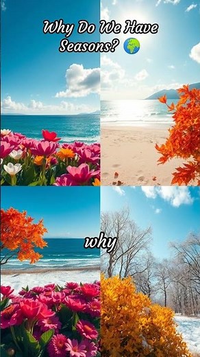 Why Do We Have Seasons? Unveiling the Mystery of Earth’s Tilt ❄️🌞