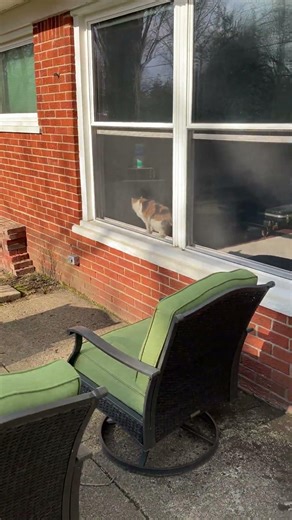 Weather check March 20, 2026 afternoon edition 63° outside rock ‘n’ roll over degrees spring sprung!