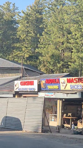 Murree Hills | Murree Weather | Murree Today 😍🇵🇰🌷 #murree#Murree #murreehills #murreehills🗻 | Murree Hill Station Live