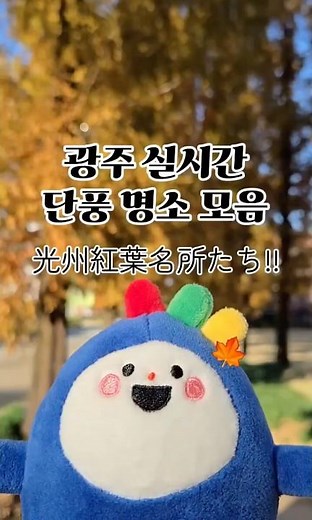 가을 낭만 가득한 광주 실시간 단풍 명소 l 광주 가을 여행 l 광주 여행 코스