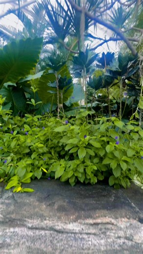 13 reactions | Jay Vee Cayaban on Reels | Facebook