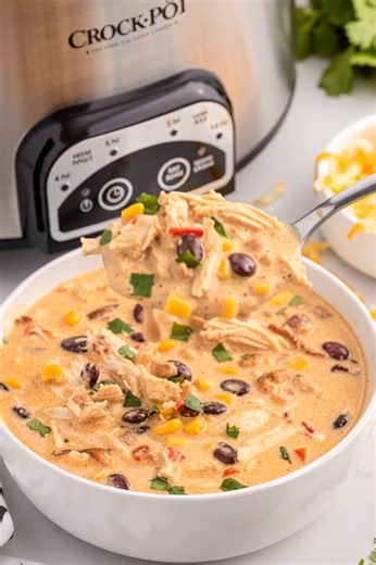 Crack Chicken Chili 🥣🐔🧀 This creamy, cheesy chicken chili is loaded with smoky bacon, ranch seasoning, and tender chicken for a rich, flavorful comfort dish that practically melts in your mouth. Ingredients: 2½ cups chicken broth 15.25 ounce can of southwest corn 10 ounce can mild Rotel diced tomatoes and green chilies 1 ounce packet ranch seasoning mix Recipe in the Coʍʍеոτ 👇 | Recipes by banana