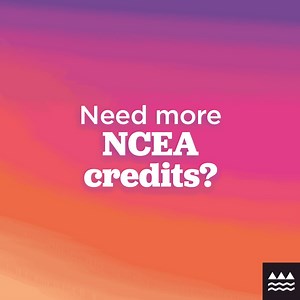 NCEA results are out! Do you need a few more credits to gain an NCEA or University Entrance qualification? Top up your NCEA credits at Te Kura Summer School – registrations close on 2 February! By studying online over the summer break, you can achieve additional NCEA credits to go on to further study, training, or to secure a job. | Ministry of Education NZ