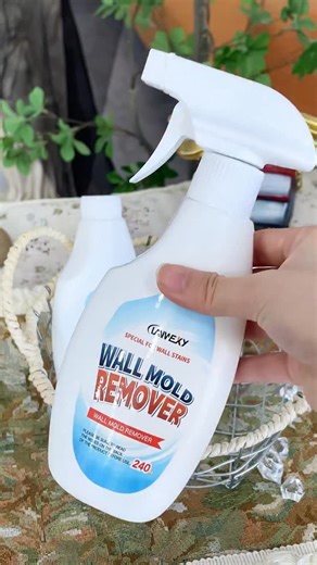 Engineering Life | Restore your walls and keep your home healthy with one simple spray 💪🧴 Strong on mold, safe for your home. 🌍 Worldwide fast shipping 🔗... | Instagram