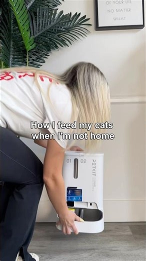 Feeding my cat when I’m not home is so easy😌 #petkit