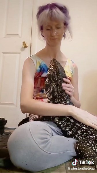 Meet Winston the Argentine Black and White Tegu!