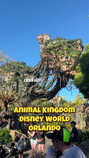 I had the best day at @Disney Parks Animal Kingdom in Orlando - it felt like I was on a trip in another world. I rode the avatar rides, Everest, did the safari, did a drawing class and even got a pastry on Mickey when a cast member made my morning by granting me a magical moment. Plants and animals are everywhere in this park - and you can now book tickets right here on TikTok through @Viator - they've been offering great discounts as they roll out TikTok GO US - so keep a lookout and be sure to