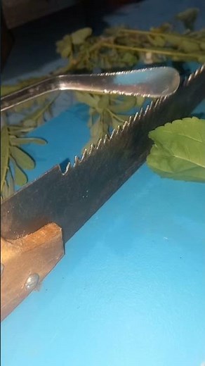 🪚 The Ultimate Guide to Sharpening Hand Saws at Home