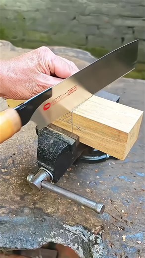 Viral TikTok Video Explained