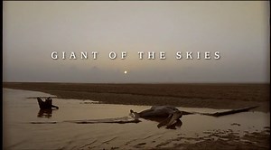 Walking With Dinosaurs - Ep 4 Giant of the Skies (1999) [576p]