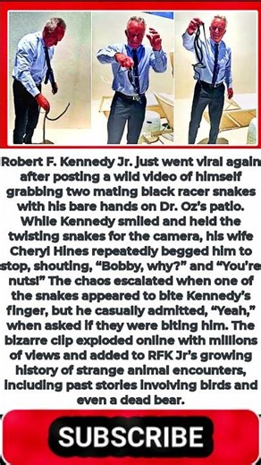 RFK Jr Handles Mating Snakes Barehanded As Cheryl Hines Reacts, ‘You’re Nuts’ In Viral Video
