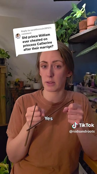 Emotional Investments: The Affaire Debate with Dowsing Rods