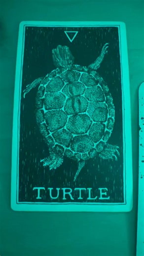 Quick check-in: Do you relax better alone than with other people? That can be a sign your system feels safest when it’s not being asked to perform. Slowness. Familiar rhythms. Gentle touch. These are how the body remembers home. A• I recharge alone B• I need people but feel tired after | Christina LeBlanc Cormier
