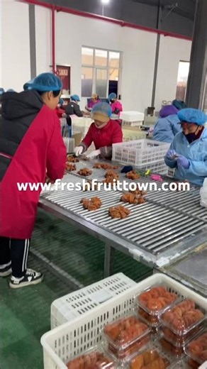Dried persimmon from Xi’an Fruit Town