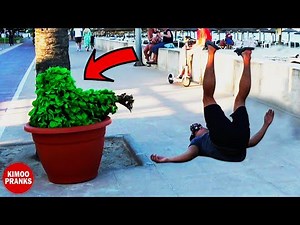 BUSHMAN PRANK: BRO DESERVES AN OSCAR AWARD FOR HIS REACTION 😂 | TOP FUNNIEST PRANKS EVER