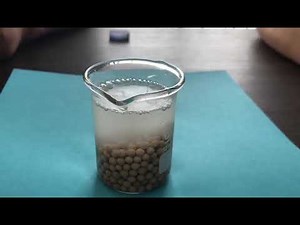 Molecular Sieve Adsorbent Test - Avant Material