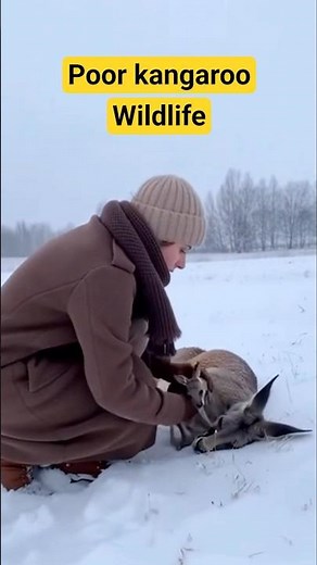 She is rescuing a baby kangaroo that has lost its mother | Helping helpless animals #rescue #animals