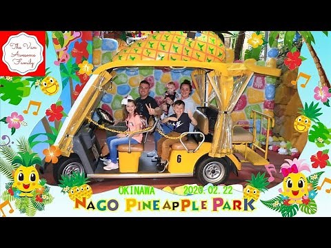 Nago Pineapple Park in Okinawa, Japan!