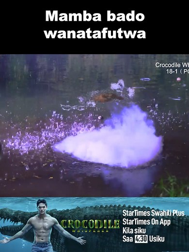 Crocodile Whisperer SAA 4:30 - Startimes Swahili Plus