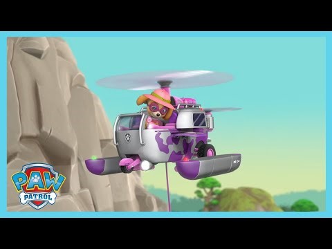 The Flying Kitty - Paw Patrol | Cartoons for Kids | WildBrain Learning Lab