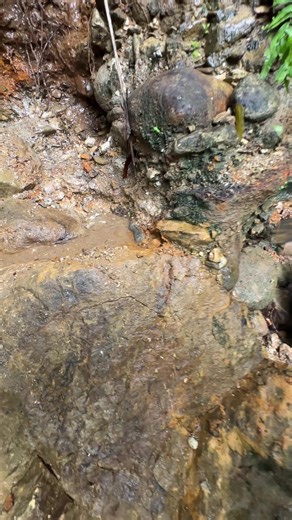 Discovering 15 Grams of Pure Gold in Rusty Material