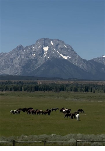 Most Peaceful Place in Wyoming: Jackson Hole