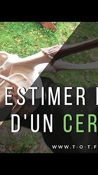 Estimer l'âge d'un cervidé d'après ses dents