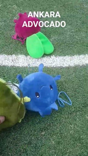 nah sinds when does lidl minis play footbal