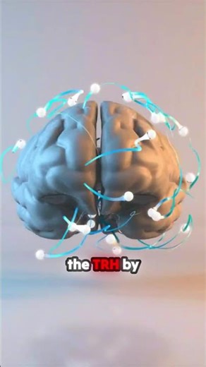POV: Your Hypothalamus has officially had enough. 🧠💥