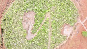 Smart agriculture technology- Aerial drone view of avocado farm in Kenya.