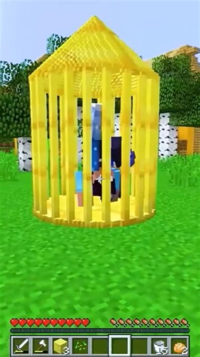 How About You Hand Back That Elytra… | Ein | Minecraft | Aphmau | Zane | Pierce #shorts