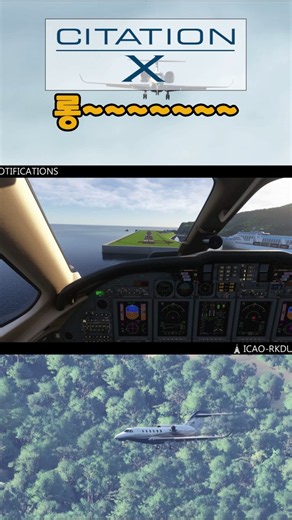 1200미터 활주로에 롱~랜딩하면? #울릉공항 #landing #msfs2024 #비지니스젯