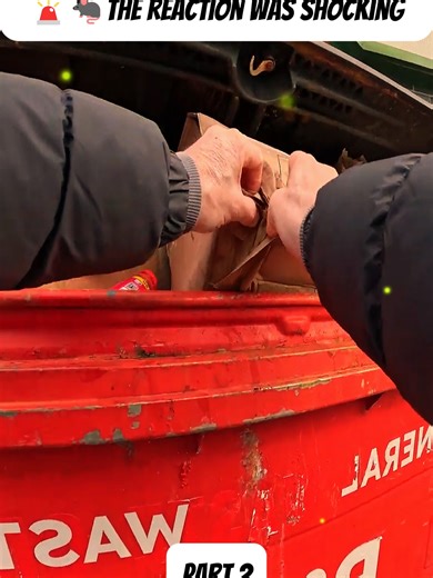 Rat-Infested Bins Caught on Camera: Shocking Reaction